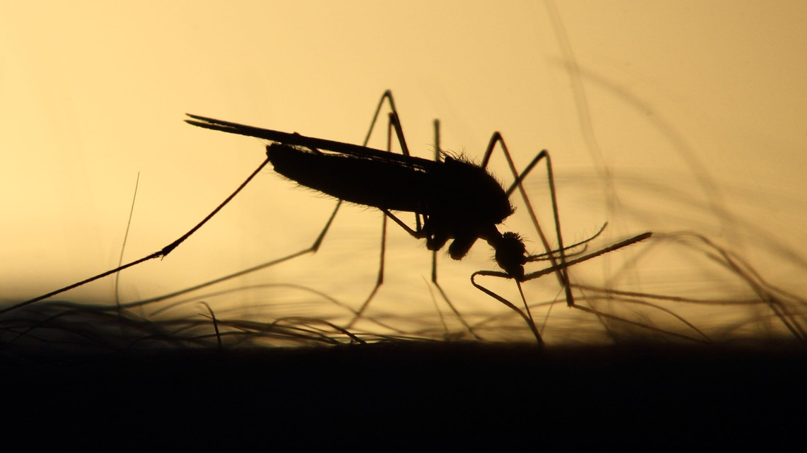 Merced County residents can expect aerial spraying for mosquitoes Thursday