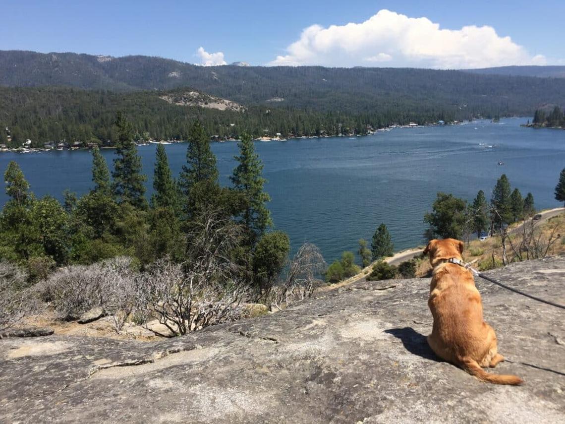  The Way of the Mono trail is a short hike with scenic views at Yosemite. Photo credit: Mimi Slawoff 