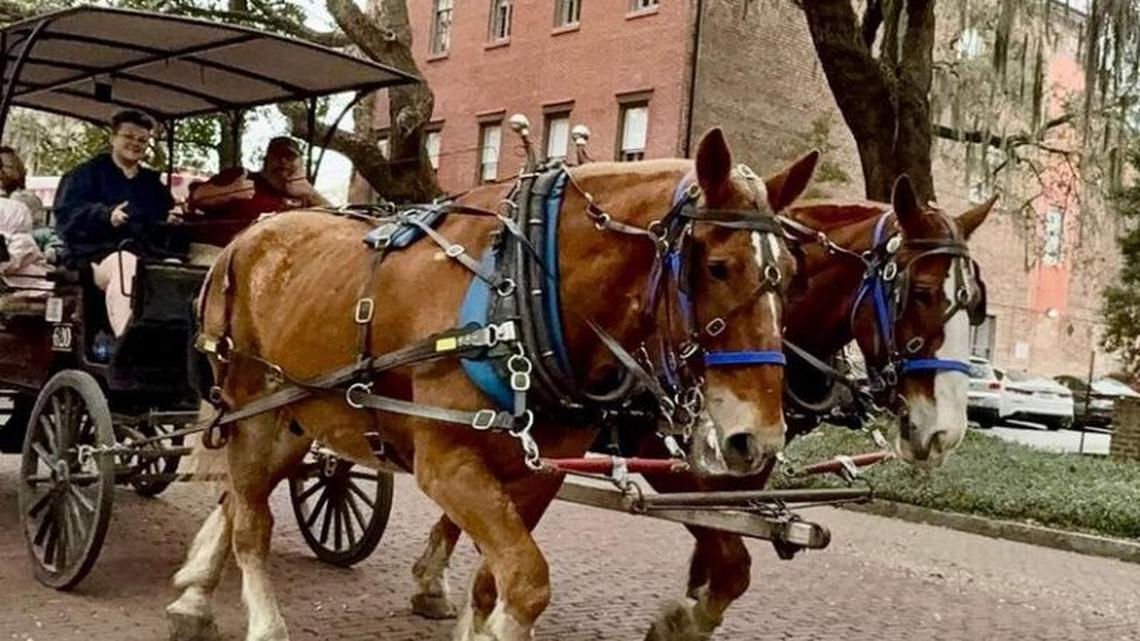 Savannah Romantic Getaway: What Most Travelers Miss 
