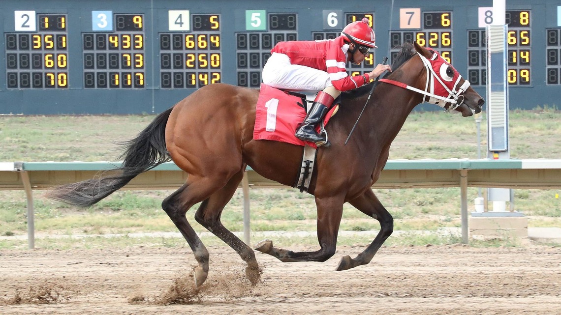‘One Of A Kind': $2,500 Yearling Caps And Carnage Stays Perfect In Five Starts 
