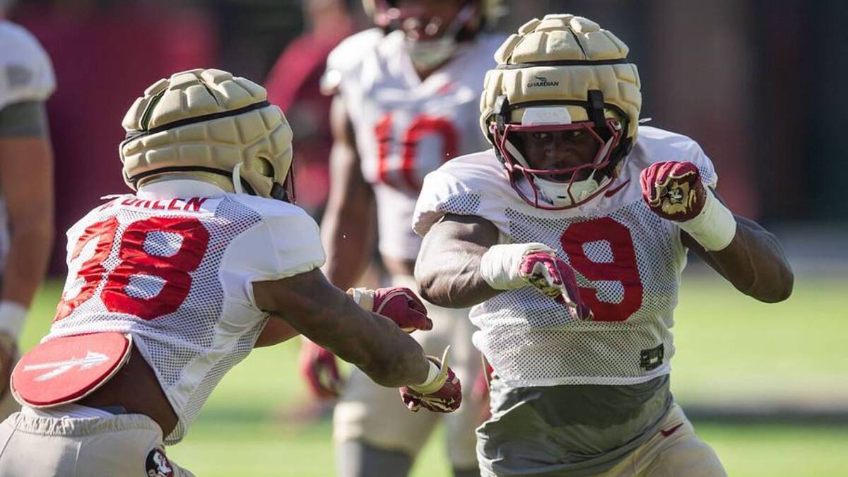  The Florida State Seminoles football team practices for the upcoming season on Thursday, April 9, 2026. | Alicia Devine/Tallahassee Democrat / USA TODAY NETWORK via Imagn Images 