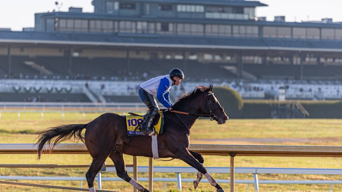 Forever Young Tabbed 2-1 Favorite Over Sovereignty For Breeders' Cup Classic 
