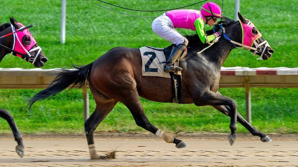 Barbadian Runner Among Eight For Maryland Million Classic