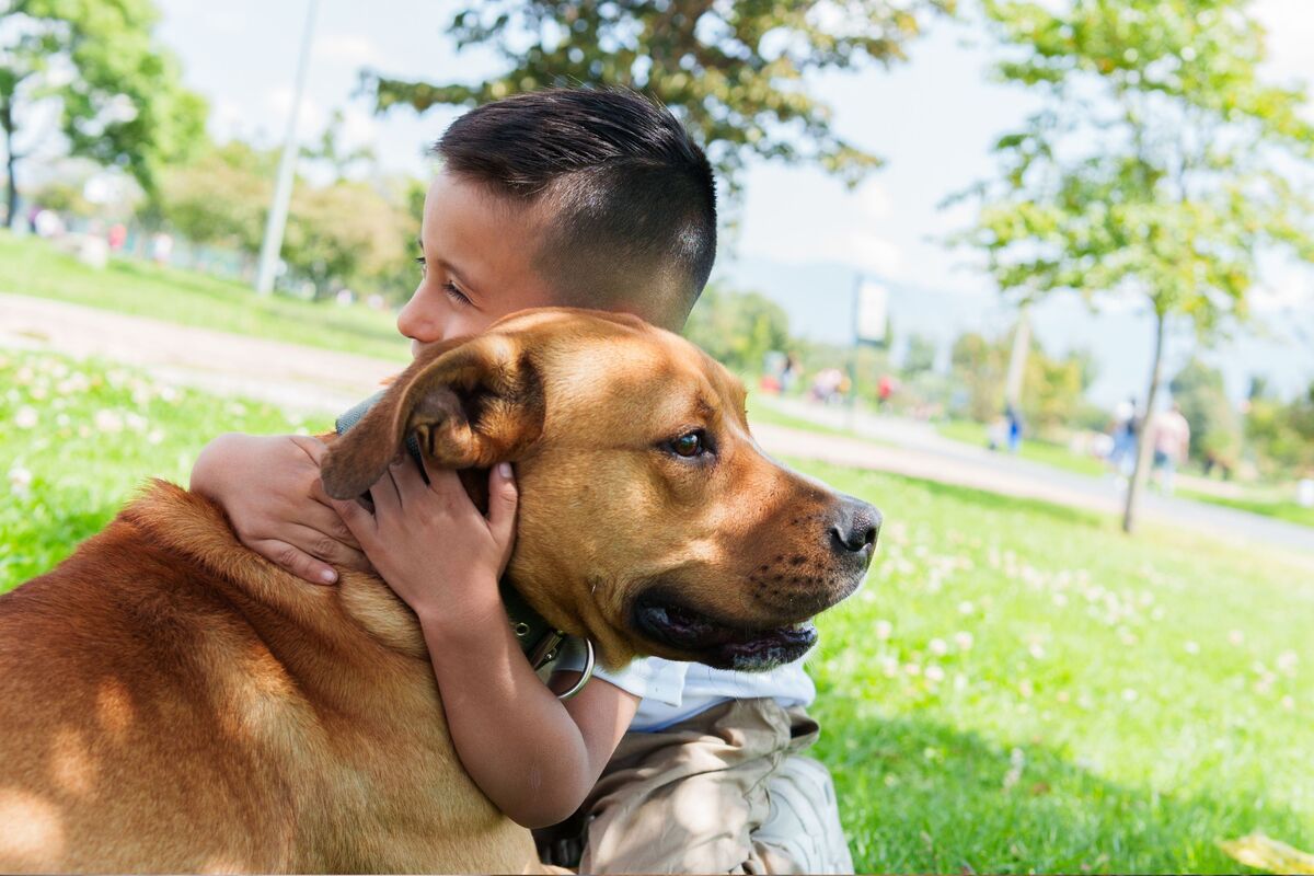  A stock image of a young boy smiling while hugging a dog outside at the park. 