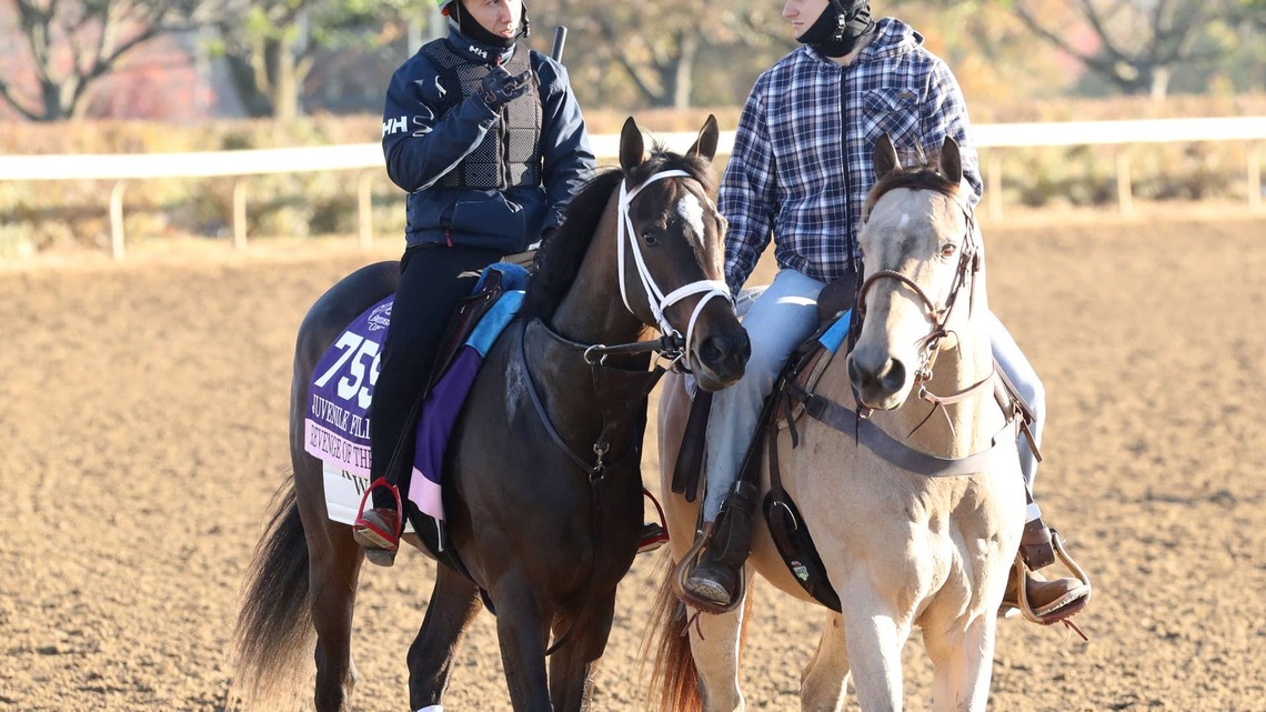 John Ropes Looks To Upset Breeders' Cup Juvenile Fillies With Maiden Revenge Of The Sis 