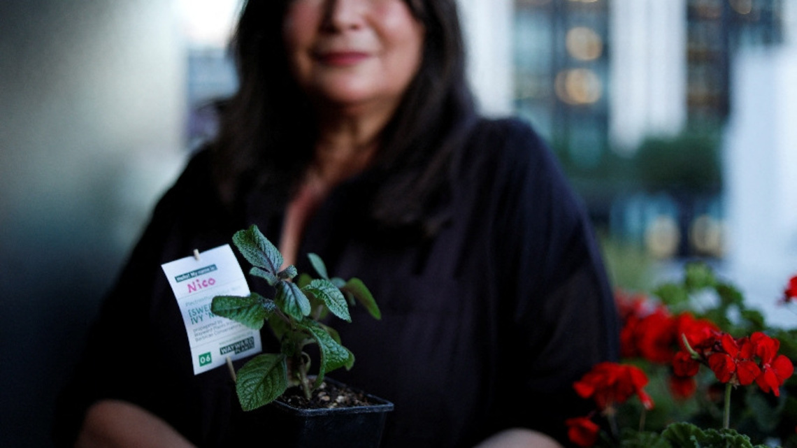 London 'plant parents' adopt a piece of historic Barbican urban jungle