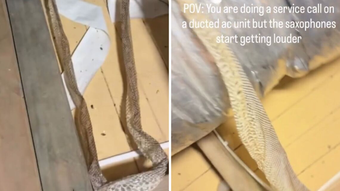 Worker Goes to Service AC Unit, Then Makes Chilling Find in the Attic