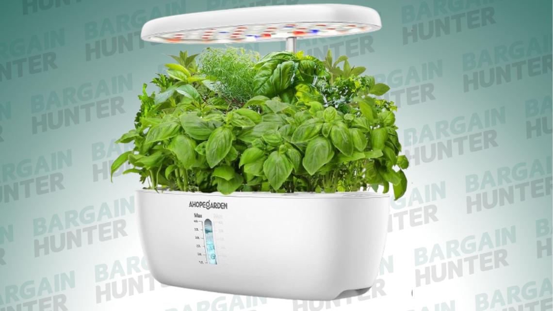 My City-Dwelling Cousin Loves This Hydroponics Growing System-And It's 25% Off For BSS 
