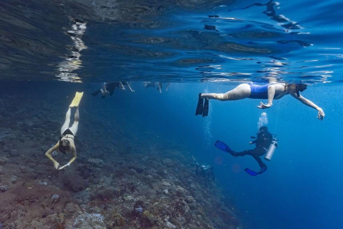  Snorkelers and scuba divers enjoying a coral reef in Nusa Penida, Indonesia. (Dr. Bing Lin via SWNS) 