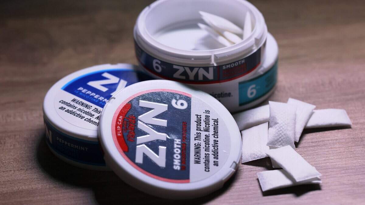 Tobacco Companies Are Cashing In on Zyn's Unstoppable Popularity