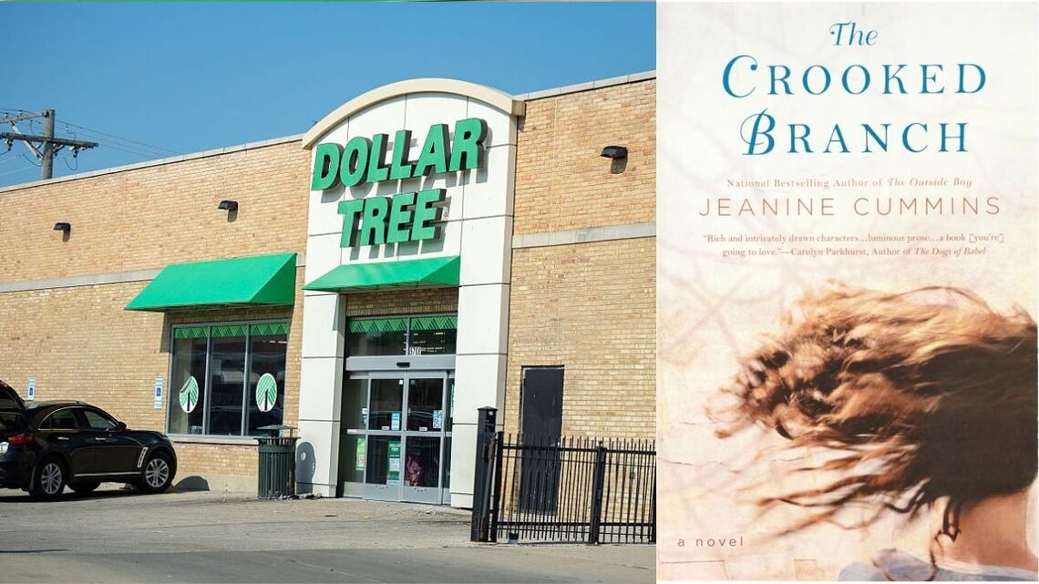 Book Club on a Budget? Dollar Tree Has Perfect Picks for Just $1.50 Each