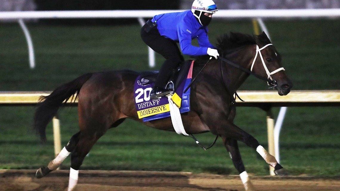 Breeders' Cup Notes: Magnitude Puts Finishing Touches On Classic Preparations 