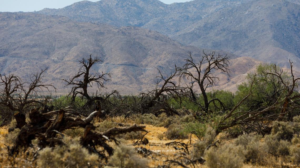 New research has this San Diego County desert town at loggerheads on what to do about water 
