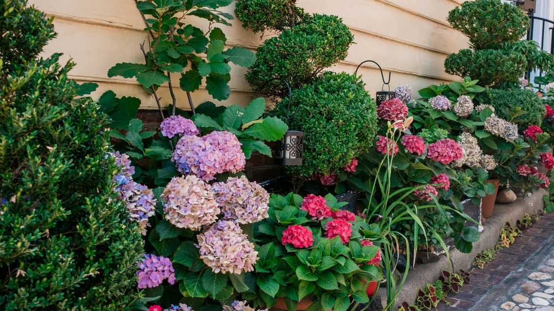 The ‘Container Shuffle’: How to Instantly Refresh Your Dying August Garden