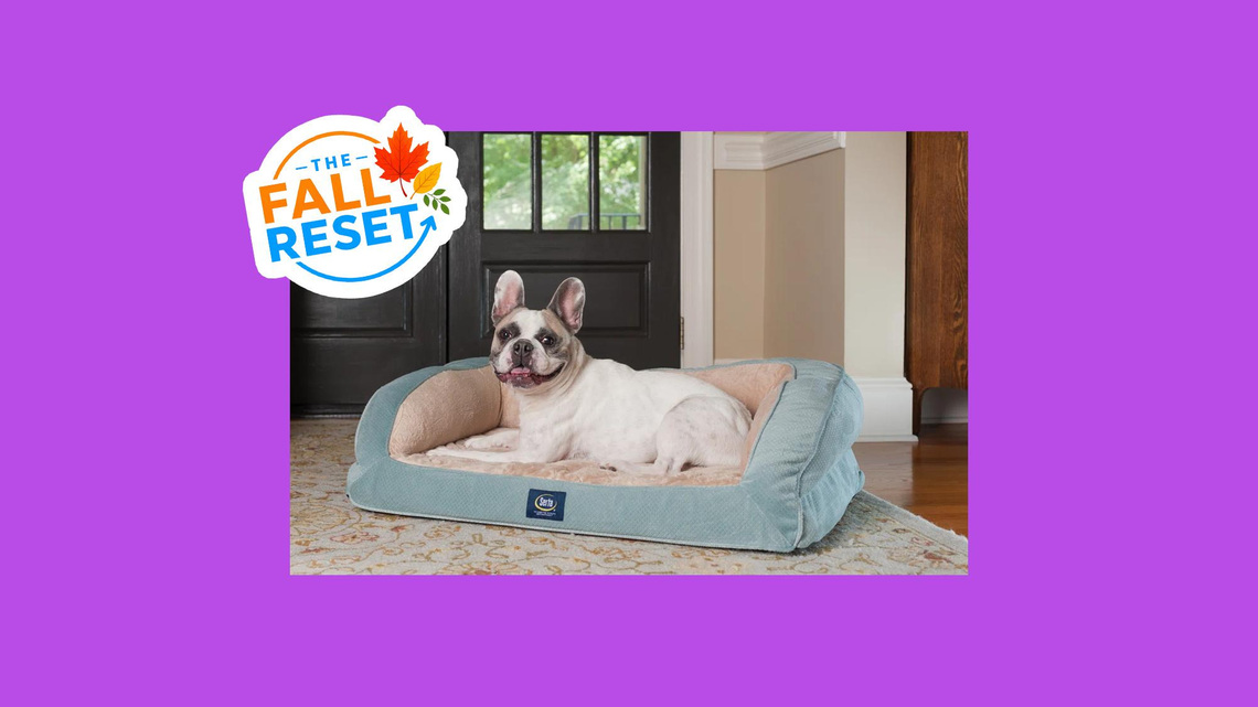 Is it time for a new dog bed? This quality upgrade is 63% off 