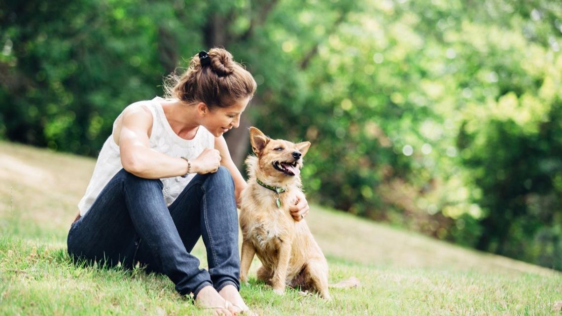 7 Signs Your Senior Dog Is Still Happy, According to a Vet 