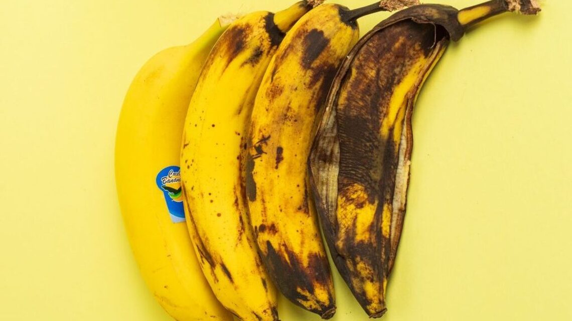 Non-browning bananas move closer to hitting supermarket shelves