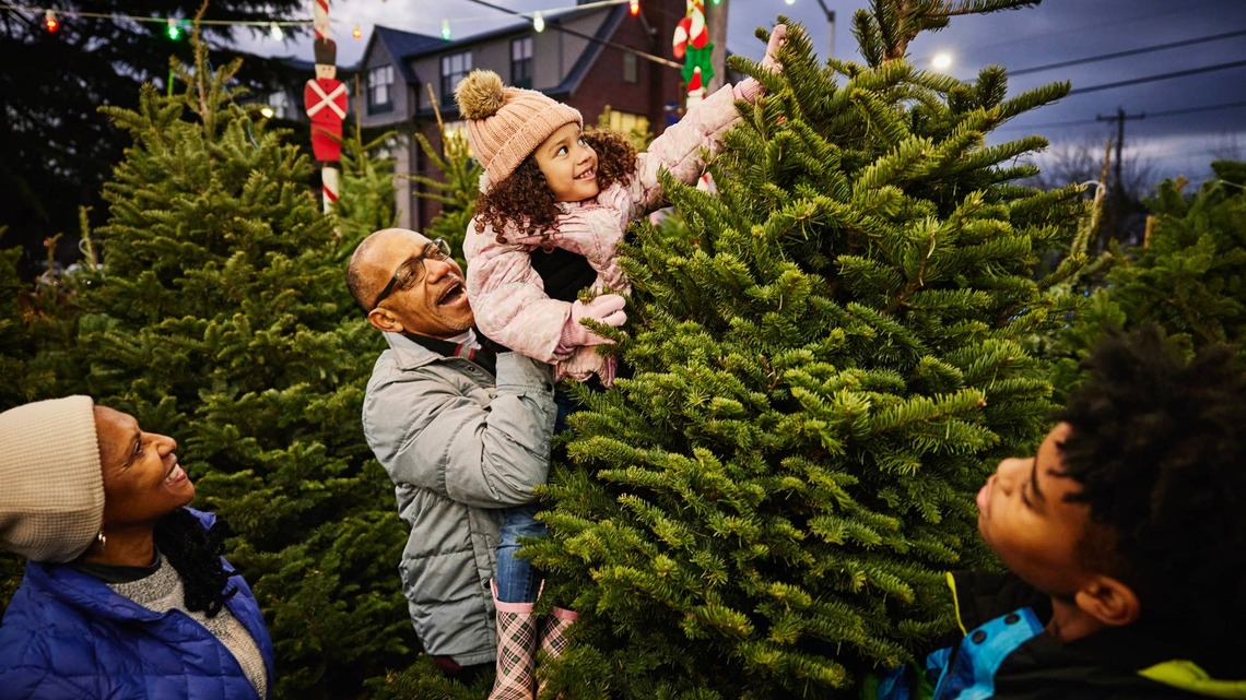 The 2026 Christmas Tree Forecast Is Here-Will You Pay More For Your Spruce? 