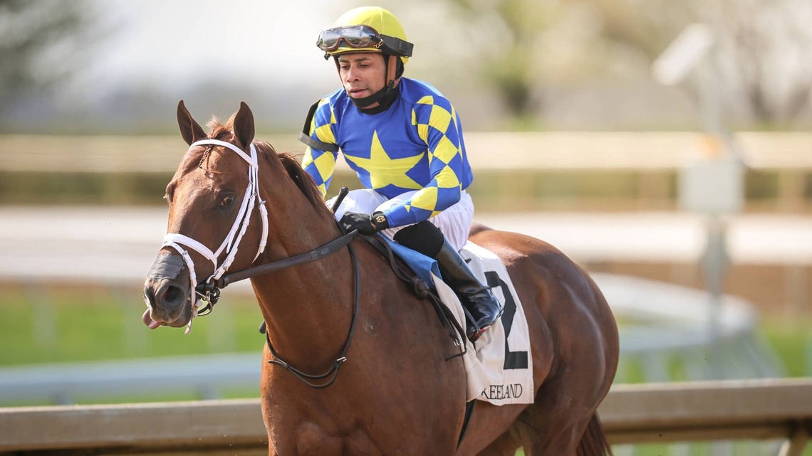 'He Had So Much Power': Stakes Winner Colloquial Retired To Airdrie Stud For 2027 