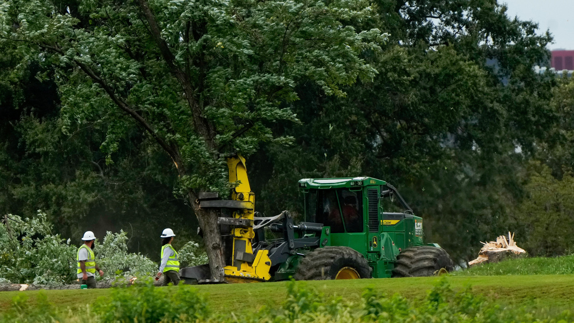 Judge blasts Trump's DOJ over 'inexcusable' tree removal at DC golf course 