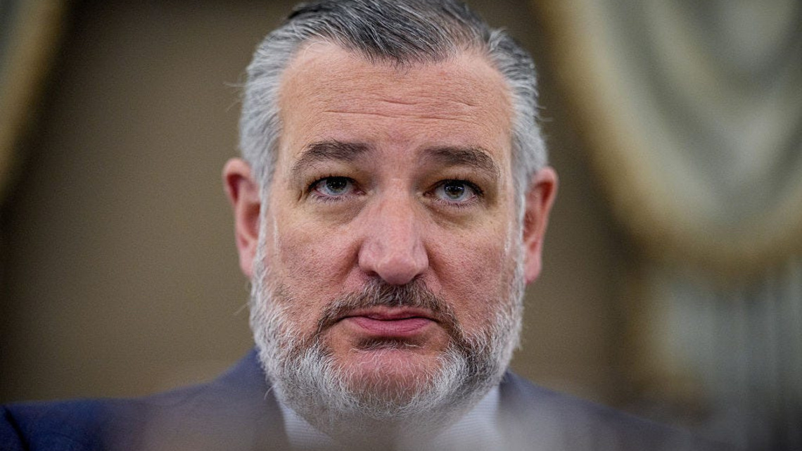 ‘Real fight': Cruz says Texas election hinges on voter turnout