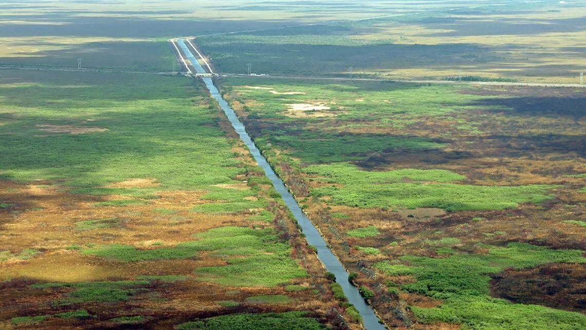 The Florida Everglades, seen here on March 4, 2026, are a vital source of water and a habitat for thousands of species of plants and animals. (Carl Juste/Miami Herald/TNS)