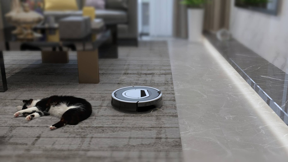 House Cat Couldn't Care Less About the Robot Vacuum, and It's Hilarious