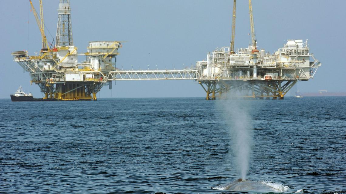 Trump's ‘God Squad' pits energy vs. endangered species, but it's a false choice – protecting wildlife can be good for business 