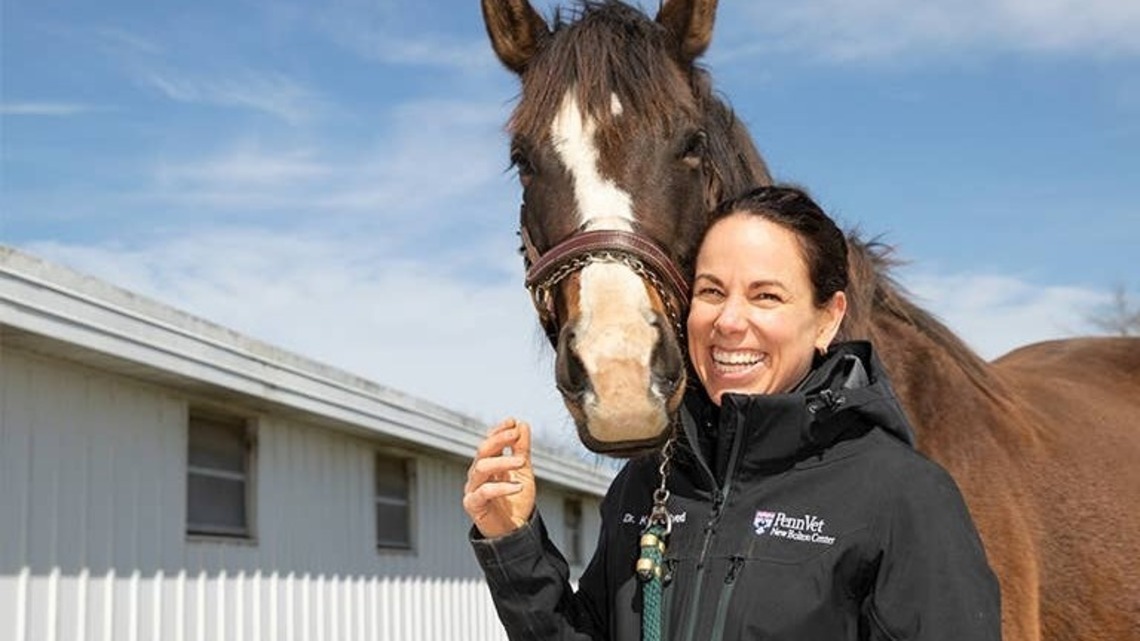 Penn Vet's Kyla Ortved Named First Recipient Of ACVS Rising Star Award 