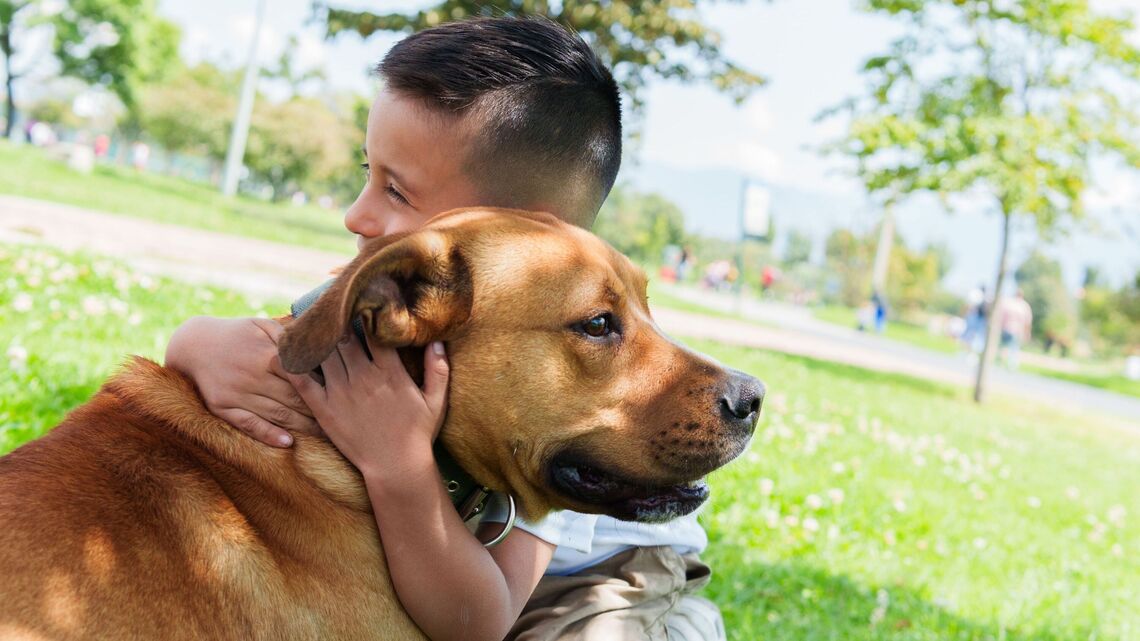 Rules and reminders for dog park in newly renovated Borts Field in Youngstown