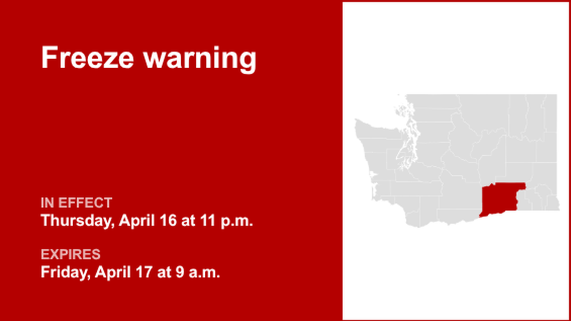 unitedrobots photography