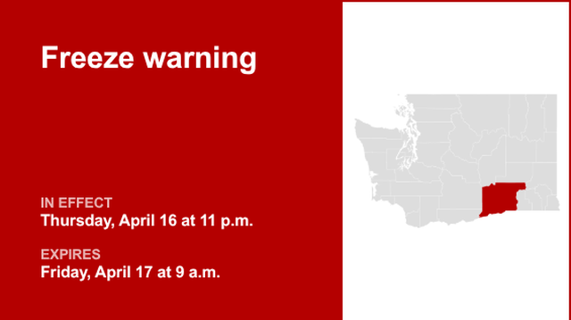 unitedrobots photography