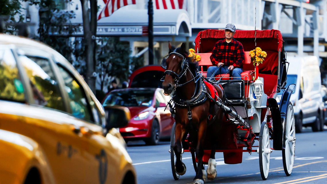New York City bans horse-drawn carriages from June 2028 