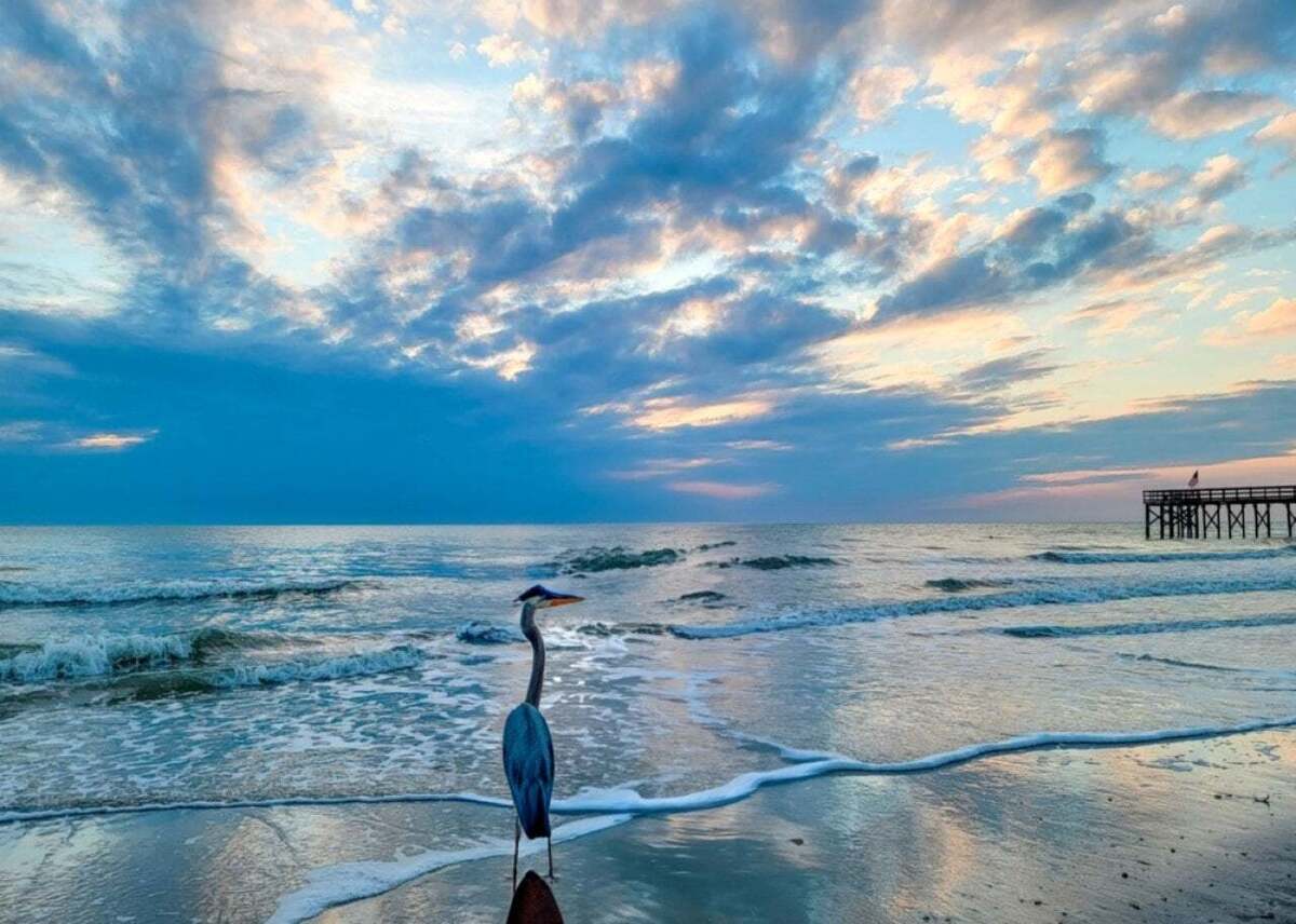  christy824 // Shutterstock 