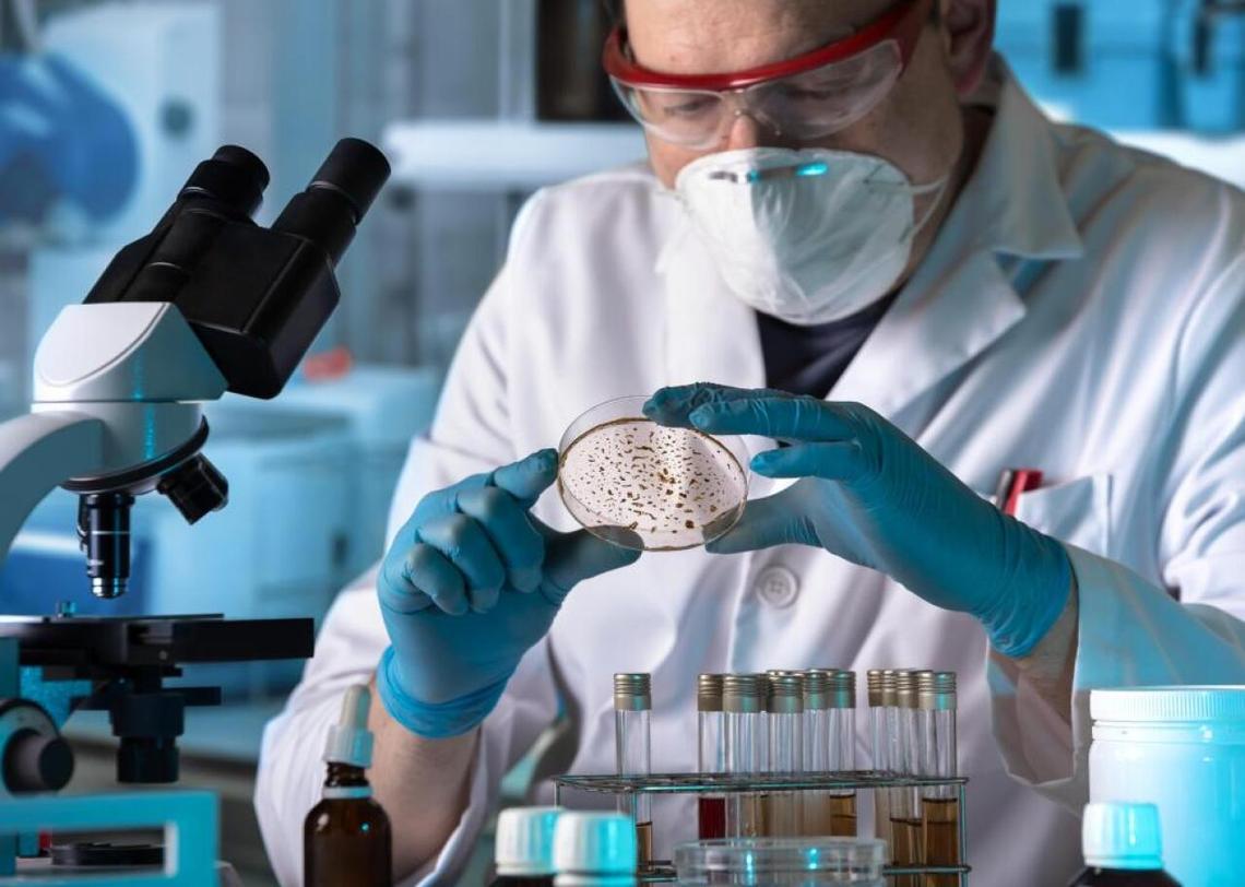  angellodeco // Shutterstock 