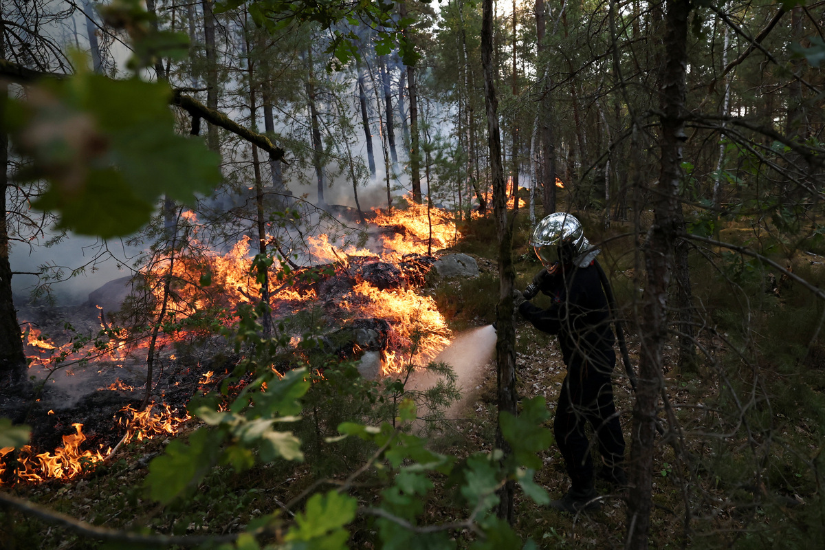 A firefighter works to extinguish flames in the Fontainebleau forest during wildfires, in Noisy-sur-Ecole, near Paris, during a heatwave affecting large parts of France, July 13, 2026. REUTERS/Stephane Mahe