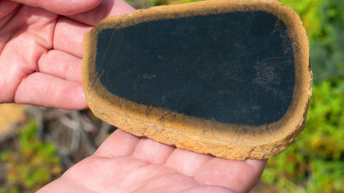 Pink beaches and icebergs in Canada's ancient, alien landscapes 