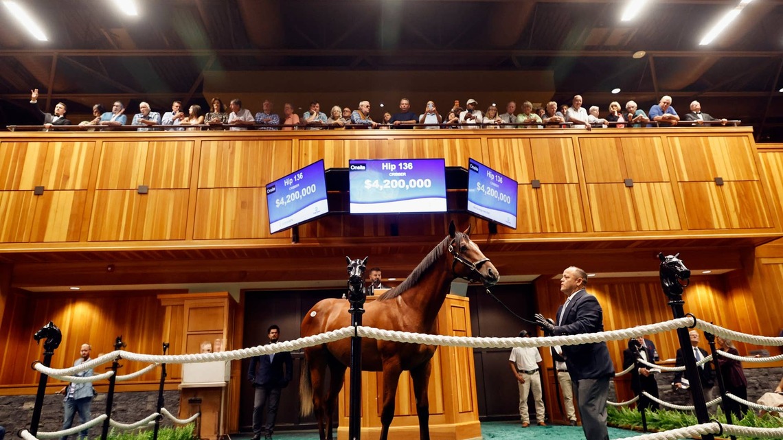 $4 Million Into Mischief Colt Leads Record Edition Of Fasig-Tipton Saratoga Sale 