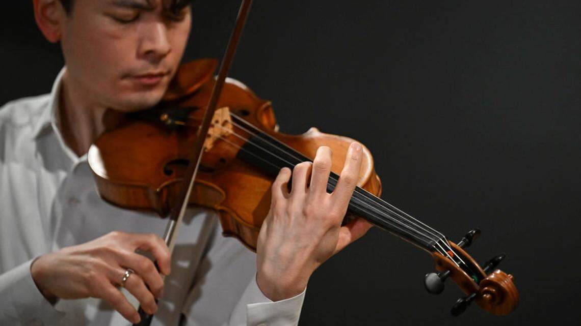 Tree Rings Reveal Origins of Some of the World's Best Violins