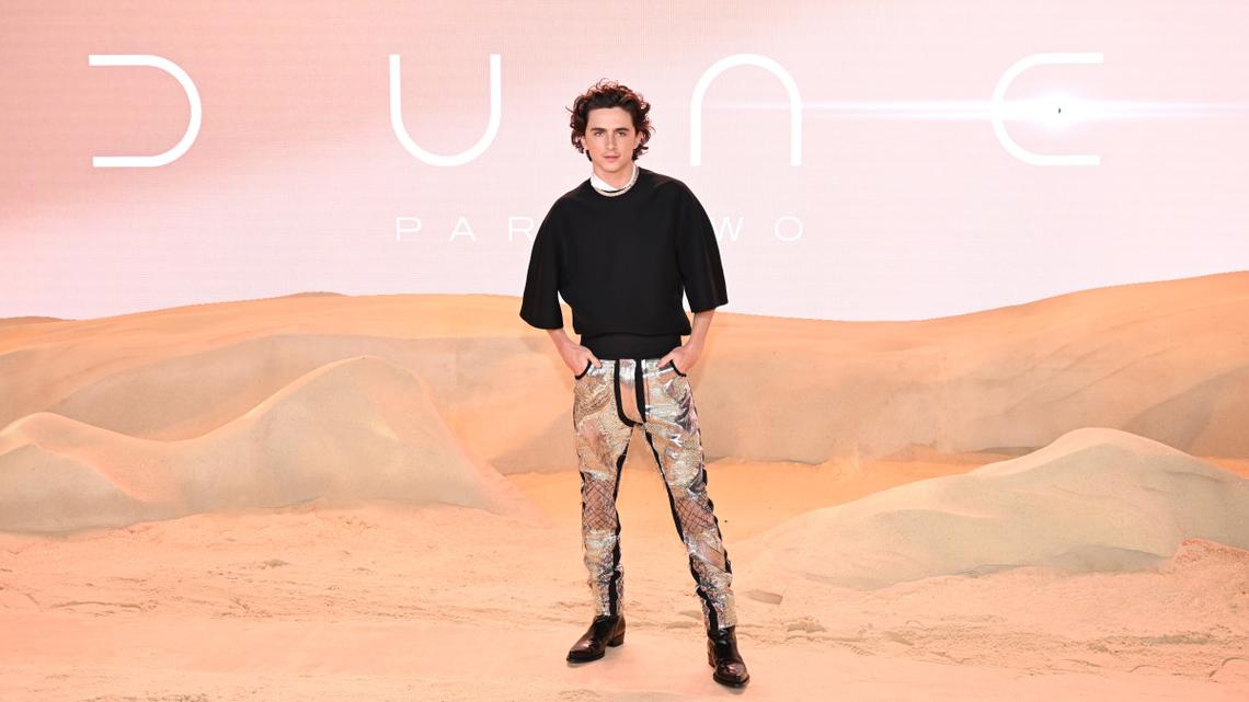 Timothée Chalamet Teases New 'Dune' Movie, Why He Treated Finale as 'Sacred' 