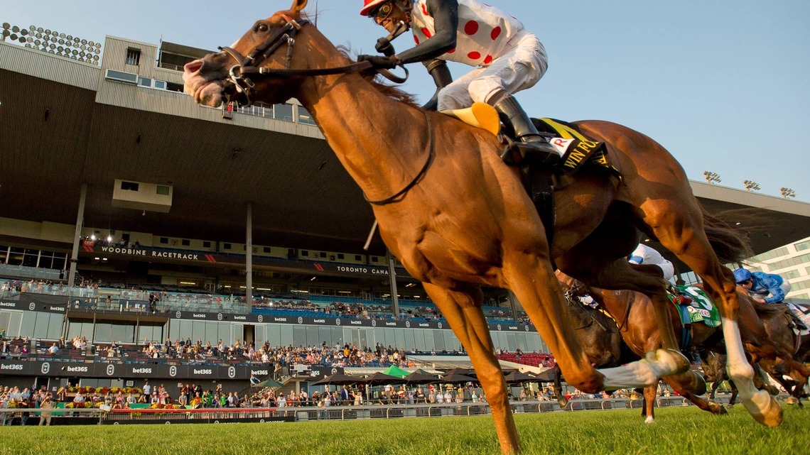 Millionaires Neat, Win For The Money Face Off In Miami Mile Overnight Handicap 
