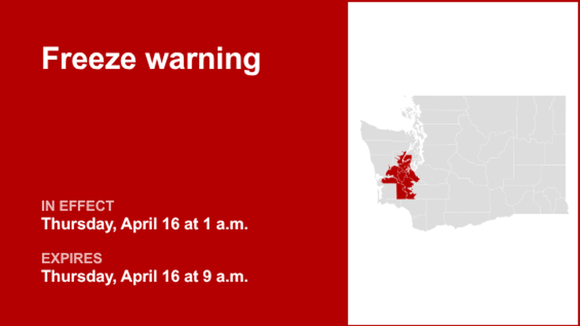 unitedrobots photography