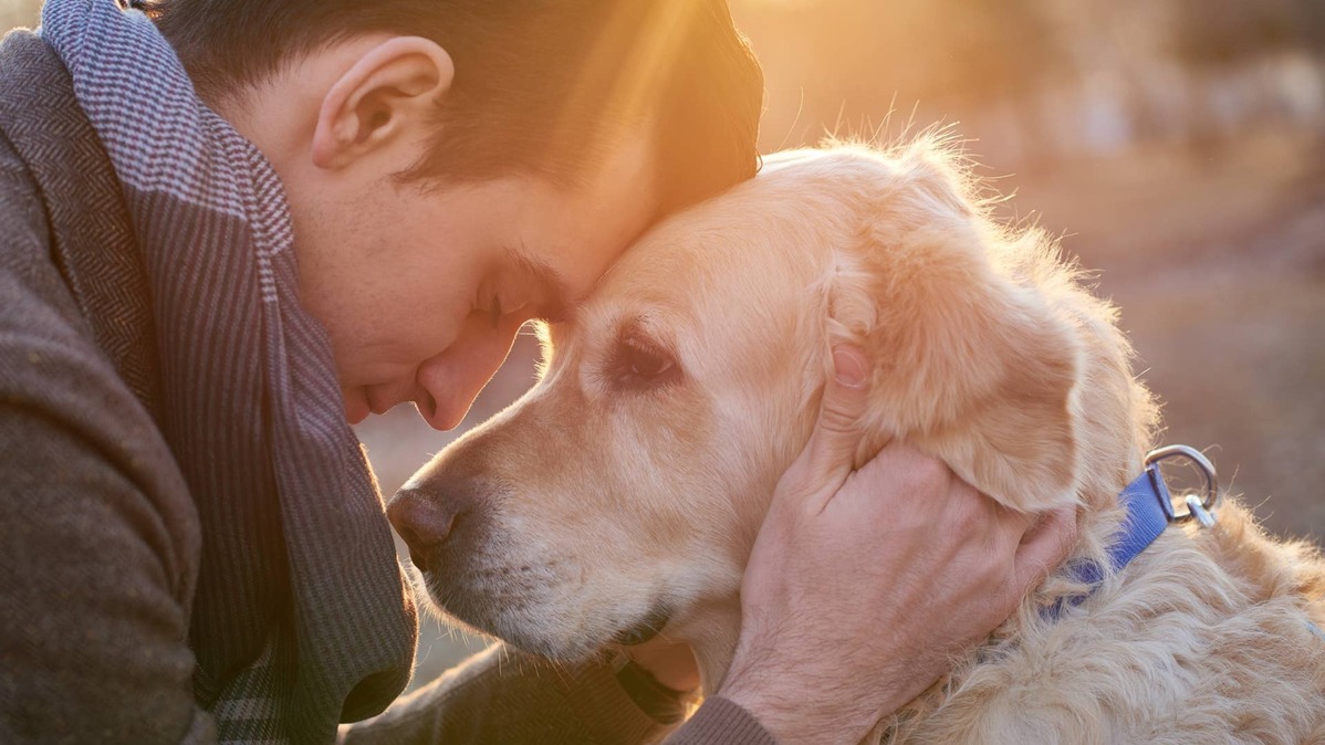 A woman takes a selfie with a Golden Retriever who's sporting sunglasses. 