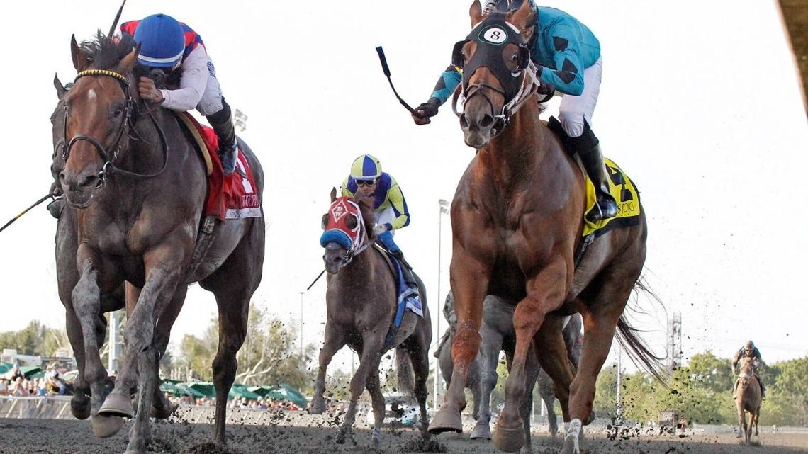 'Tough Way To Lose': Adios Jojo Wins Longacres Mile Via DQ Over Favorite Touchy 