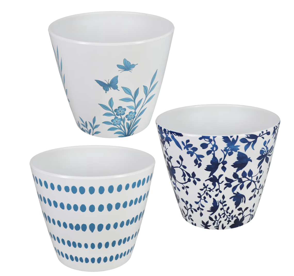 Courtesy of Dollar Tree