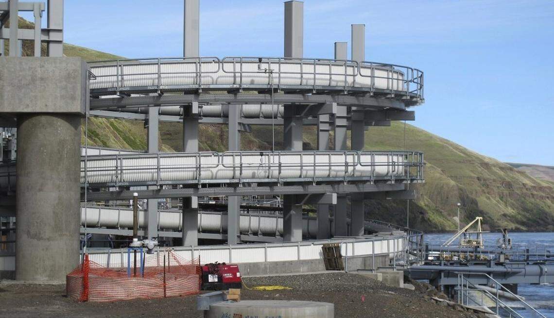 An elevated fish ladder designed to help migrating fish swim through the Lower Granite Dam on the Snake River near Almota, Washington. Republican members of Congress from the Pacific Northwest objected in 2018 to a federal judge’s order to spill water from the dam and three others on the Snake River in an attempt to help speed migrating salmon to the Pacific Ocean, saying the increased spill will result in lost power sales and could harm transportation, barging, flood control and irrigation systems. 