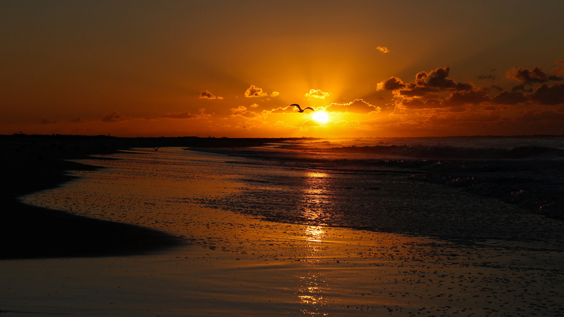 Atlantic Ocean currents can recover from severe climate weakening, study finds 