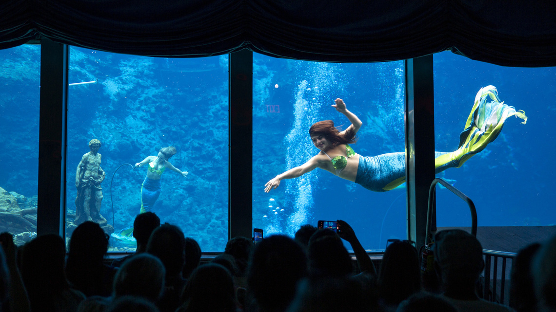6 springs in 2 days: A Florida road trip reveals the state's freshwater treasures 