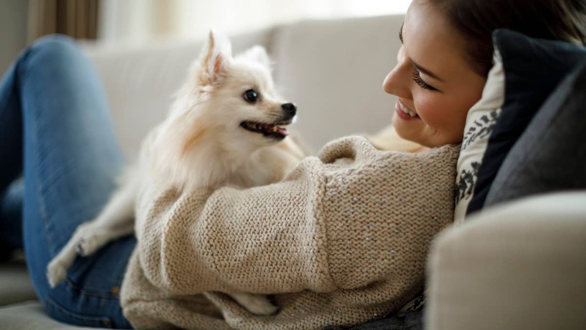 Saying certain words and phrases can calm an anxious dog. 