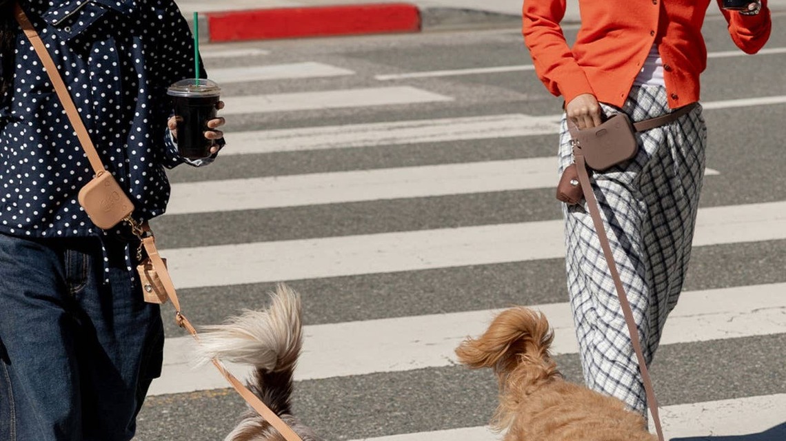 Tired of Juggling Your Phone, Coffee and Dog Leash? This $46 Leash Keeps Your Hands Free 